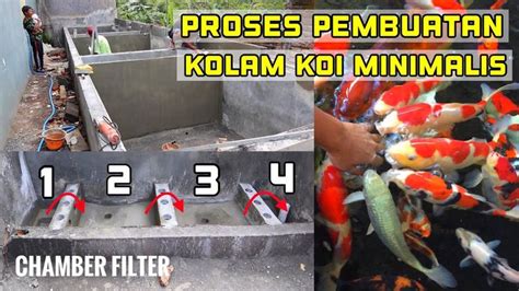 Kolam Koi Minimalis Proses Pembuatan Chamber Filter Agar Filterasi Mak