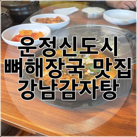 파주 운정신도시 뼈해장국 맛집 추천 강남감자탕 후기 네이버 블로그