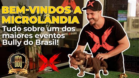 2º BBQ O maior evento de American Bully do Brasil Bully and Fun Show