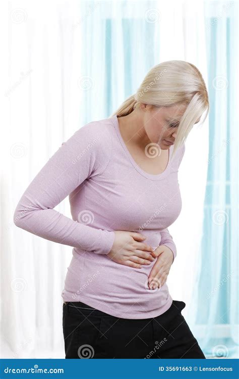 Stomach Mucosa And Submucosa Layers Royalty Free Stock Photography