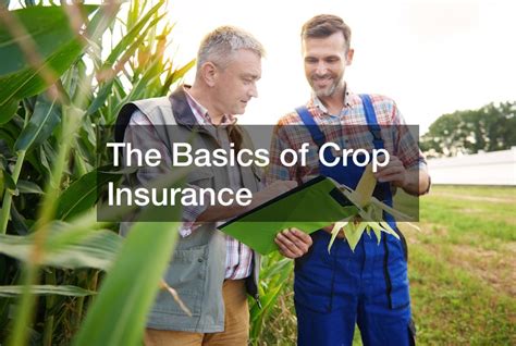 basics  crop insurance insurance claim process