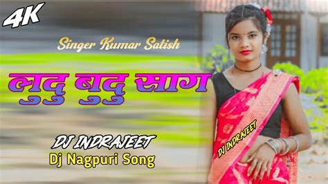 Ludu Budu Sag लुलु बुदु साग 2024 Singer Kumar Satish Dj New