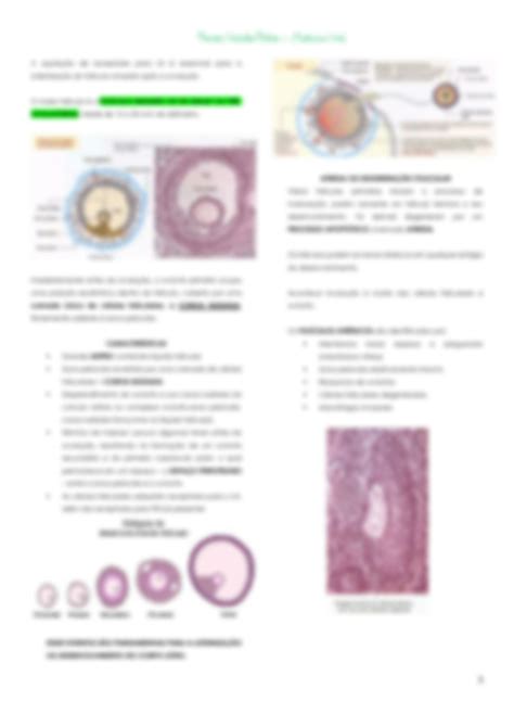 SOLUTION Resumo De Histologia Ov Rio Studypool