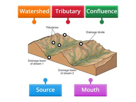 AQA Drainage basin - Labelled diagram