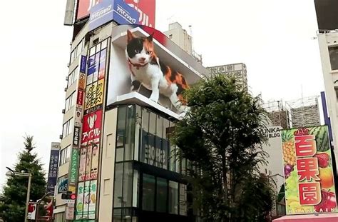 Outdoor gigante hiper realista em 3D exibe Gato em Tóquio e hipnotiza