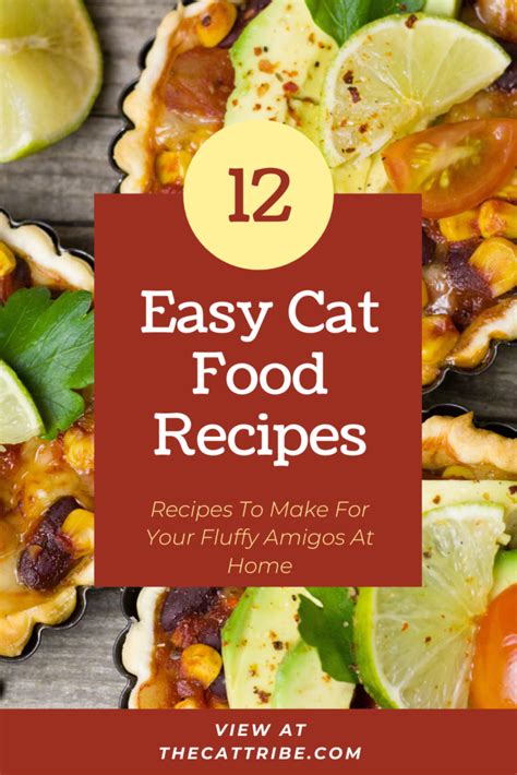 Top 12 Easy Cat Food Recipes Check 3 Recipe The Cat Tribe