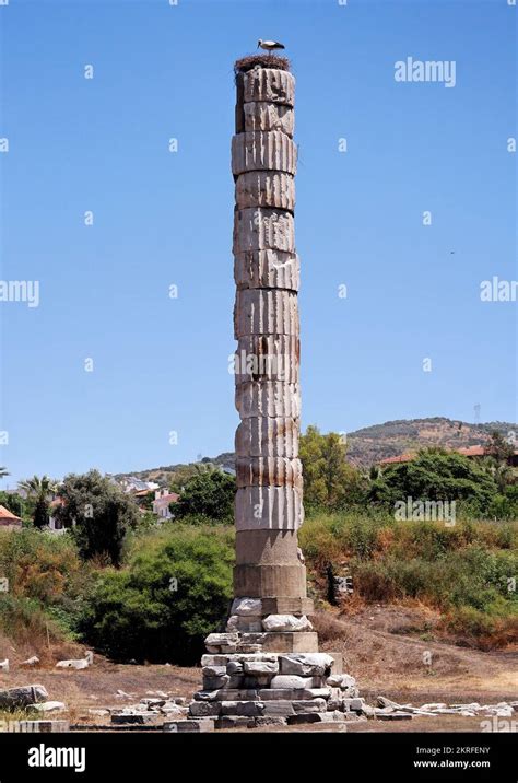 Izmir Selcuk Turkey May Column And Ruins Of Temple Of Artemis