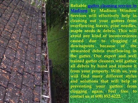 PPT - Gutter Cleaning Madison PowerPoint Presentation, free download