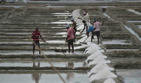 Photos Third Largest Salt Pans At Marakkanam During Lockdown The