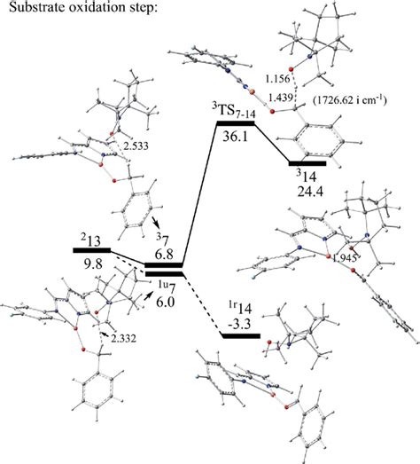 The Calculated Energy Profile And The Optimized Structures With