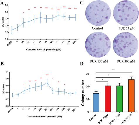 Puerarin Modulates Proliferation Inflammation And Ecm Metabolism In