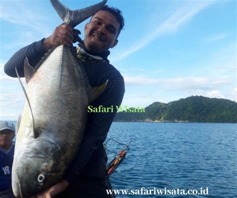 19+ Mancing Ikan Gabus Di Riau Pics - hobimancing