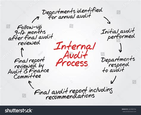 Internal Audit Process Flow Chart Diagram Stock Illustration 322908794