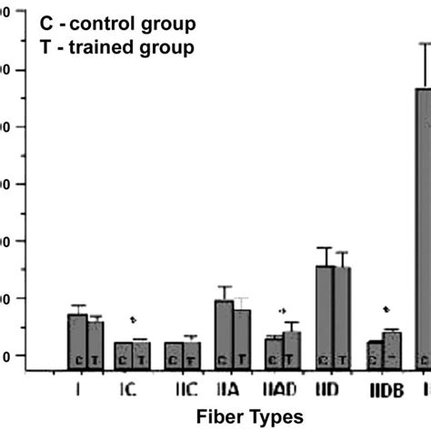 Eletrophoretic Separation Of Myosin Heavy Chain Mhc Isoforms From