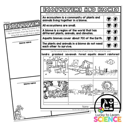 Biomes, Habitats, and Ecosystems - Worksheet | Printable and Distance ...