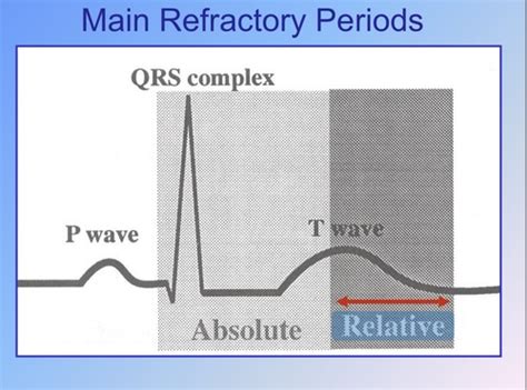 Cardiac Electrophysiology Chapter 2 Flashcards Quizlet