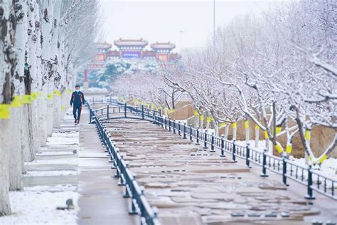 一觉醒来北京又下雪了新鲜雪景图已到货 千龙网中国首都网