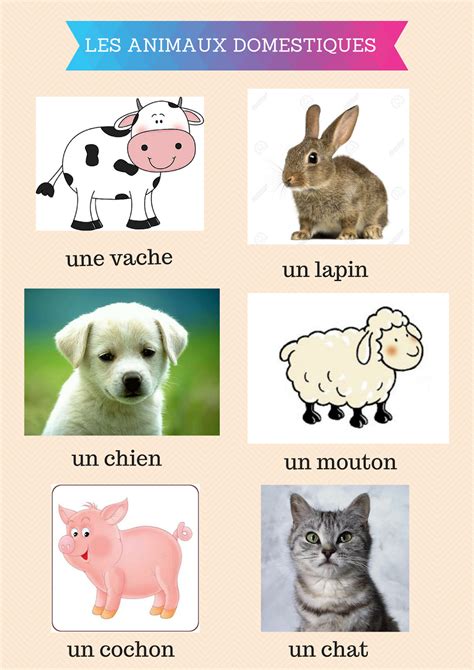 Fle En Vrac Les Animaux Domestiques