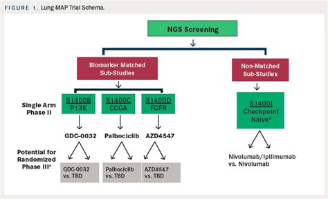 Targeted Therapy For Advanced Squamous Cell Lung Cancer