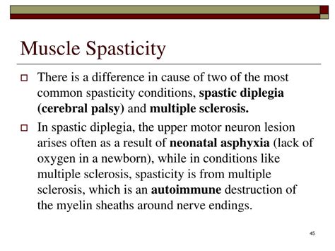 Why Upper Motor Neuron Lesion Causes Spasticity