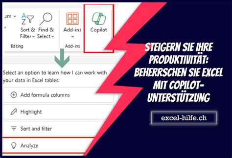 Steigern Sie Ihre Produktivität Beherrschen Sie Excel mit Copilot