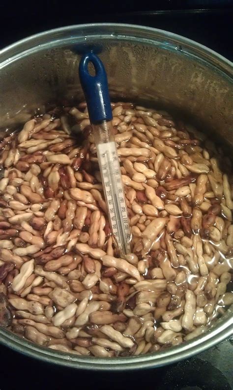 Mesquite Pods? Yeah, You Can Brew with Them. ~ Brain Sparging on ...