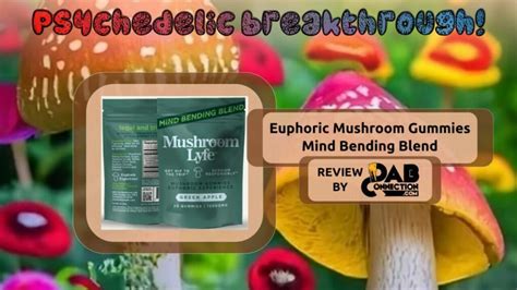 Mushroom Lyfe Review Cbd Oil For Chronic Pain