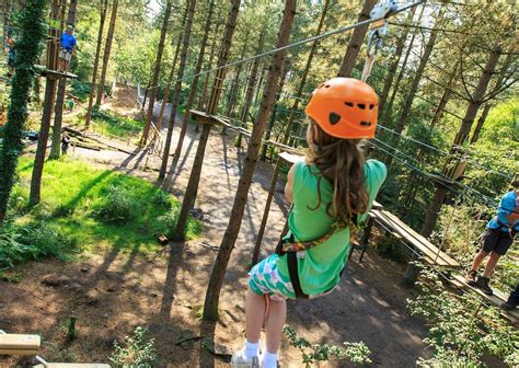 2025年 Go Ape Zipline And Adventure Park 出発前に知っておくべきことすべて トリップアドバイザー