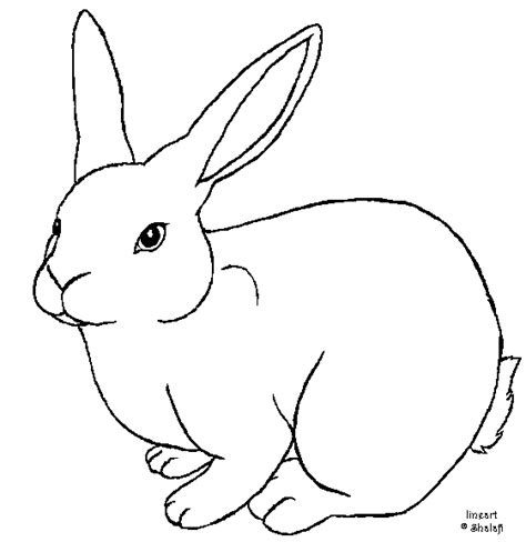 Line Drawing Bunny Rabbit At Getdrawings Free Download