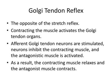 PPT - Reflex Physiology PowerPoint Presentation, free download - ID:313693