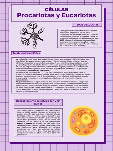 Semana 2 Biología Pdf Biología Celular Membrana Celular