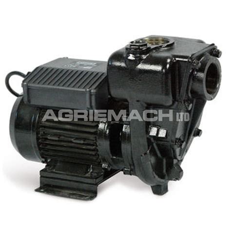 Piusi E300 Electric Diesel Transfer Pump 300lpm