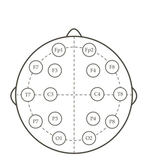 2 Electrode Locations According To The Internationally Accepted 10 20