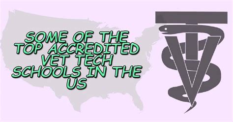 Some of the Top Accredited Vet Tech Schools in the US | I Love Veterinary