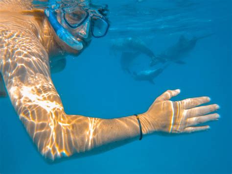 Wasini Excursión panorámica en barco con desayuno almuerzo y snorkel