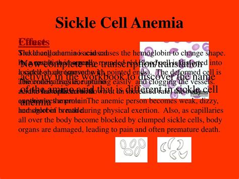 Ppt Effects Of Dna Mutations In Sex Cells Genetic Disease Or Birth