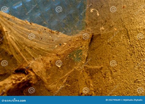 Old Dusty Cobwebs on the Barn Window. Stock Image - Image of white, architecture: 252795649