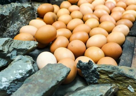 Cooking With Hot Stones Exploring The Ancient Technique