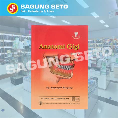 Jual Buku Anatomi Gigi Edisi Egc Itjingningsih Shopee Indonesia