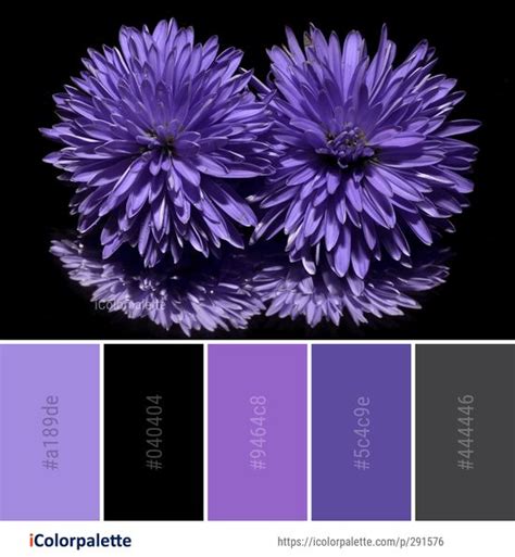 54 Best Lavender Color Palettes ideas | lavender color palette, purple ...