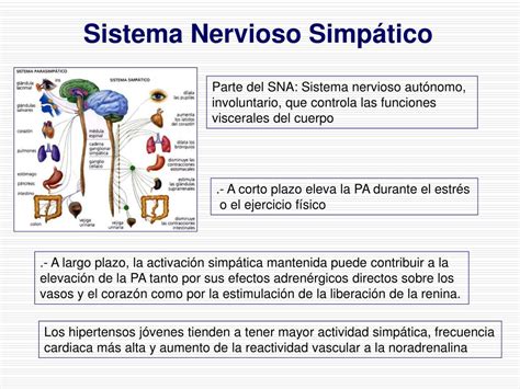 Ppt “la Hipertensión Arterial La Insuficiencia Cardiaca Y La Enfermedad Aterotrombótica