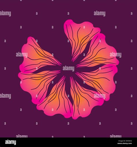 Spring Hibiscus Flower Vector Art Stock Vector Image And Art Alamy