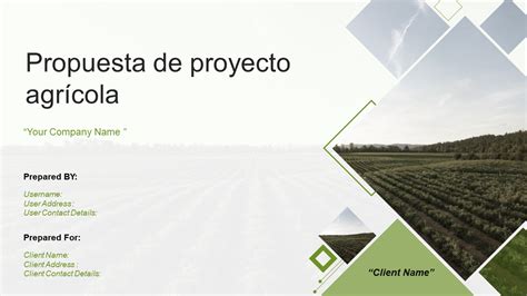 Las 10 Mejores Plantillas De Propuestas De Proyectos Agrícolas Con