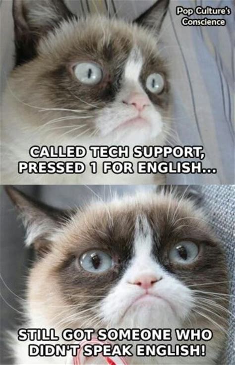 Grumpy Cat Hates Calling Tech Support Grumpy Cat Humor Funny Grumpy Cat Memes Grumpy Cat Quotes