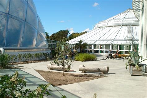 Botanisk Have I Aarhus Et Gr Nt Ndehul I Midtbyen Med Strejf Af