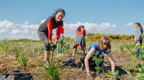 Plant a native tree: Conservation Week activities