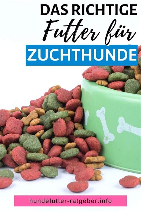 Wie du das richtige Hundefutter für Zuchthunde finden kannst Rezepte