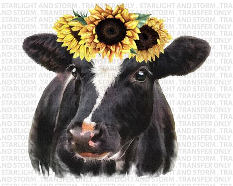 Sunflower Cow Water Color Sublimation Transfer Heat Transfer Etsy In