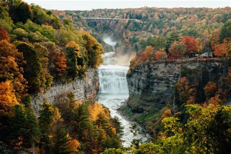 Vibrant Letchworth State Park Fall Foliage | Letchworth Fall Guide - Come Join My Journey