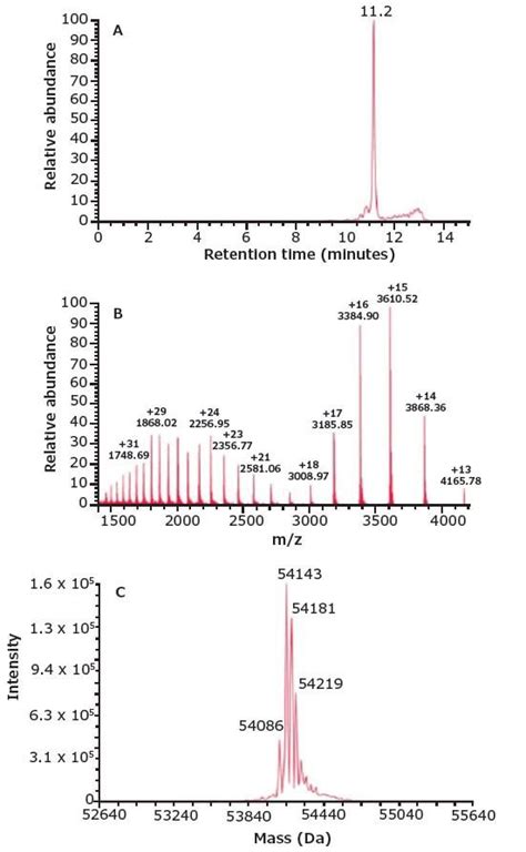 Analysis Of A Bispecific Monoclonal Antibody Using Size Exclusion Chromatography And Mass